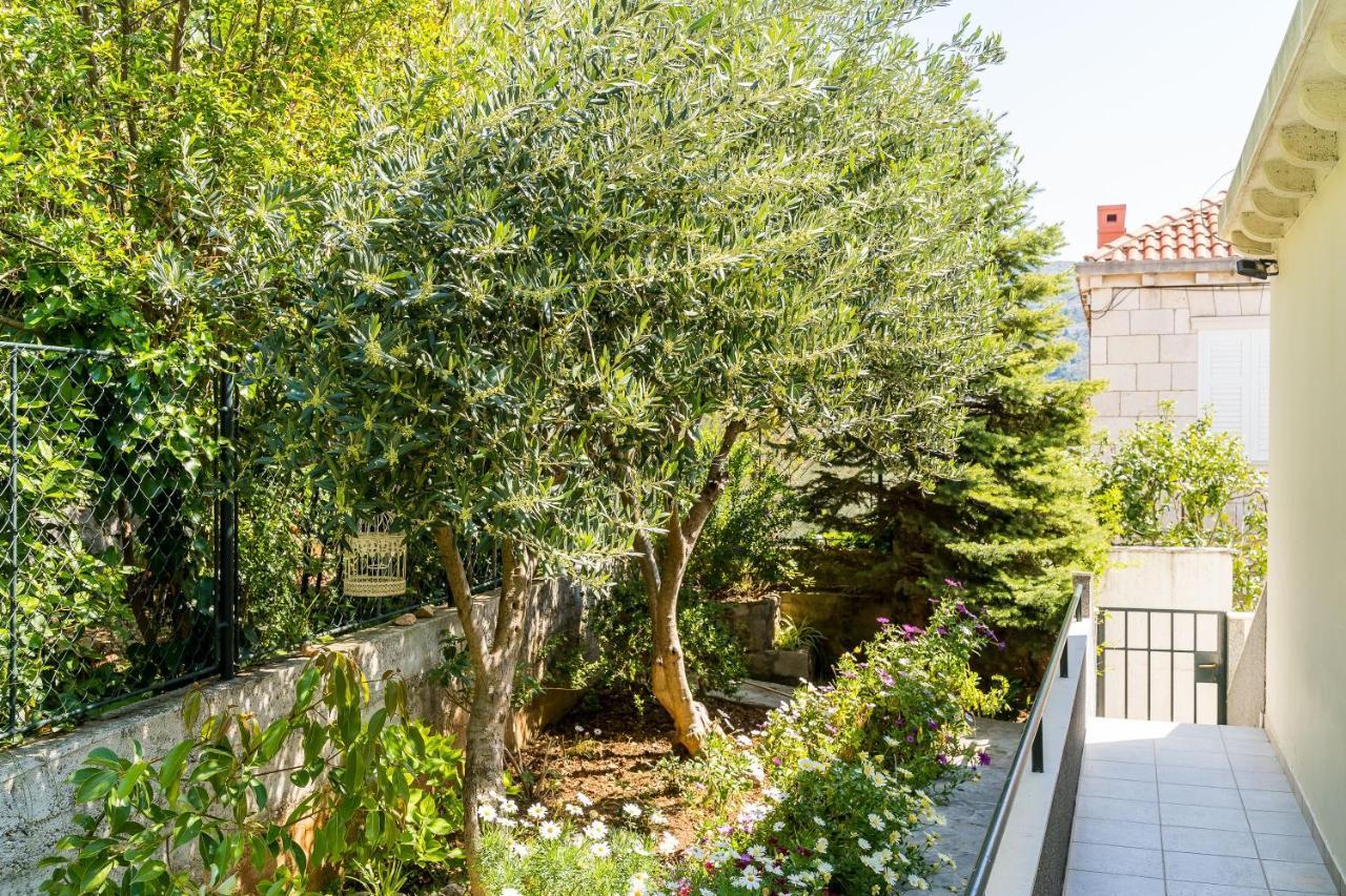 Apartments Swallow'S Nest Ντουμπρόβνικ Εξωτερικό φωτογραφία